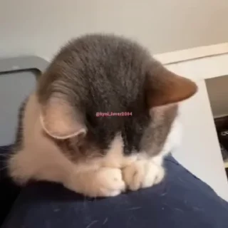 🫣