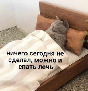 💤