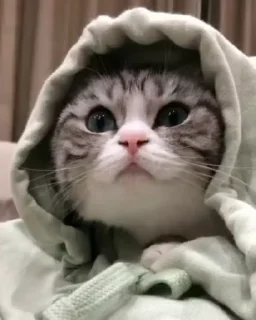 ☺️