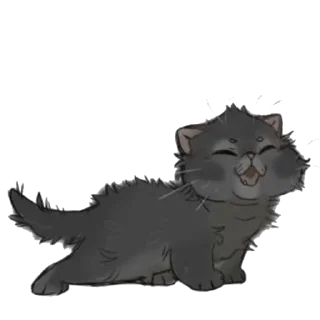🐱