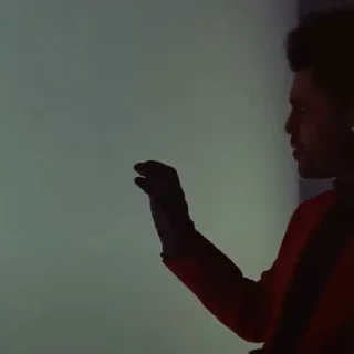 🌟