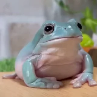 🐸
