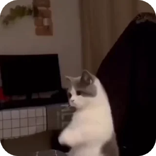 🙏