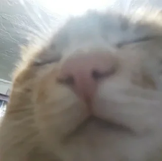 💒