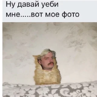 😽