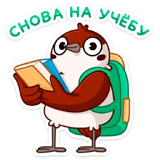 📚