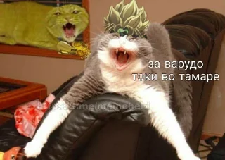 😾