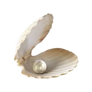 🐚