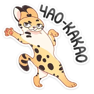 👋