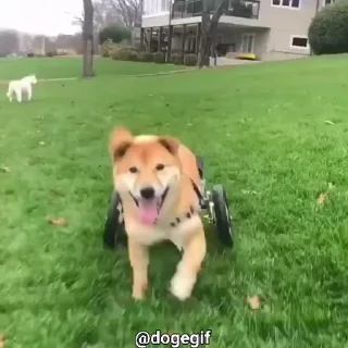 ☺️