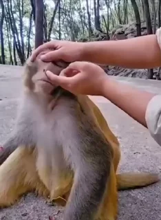 🤩