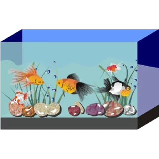 🐠