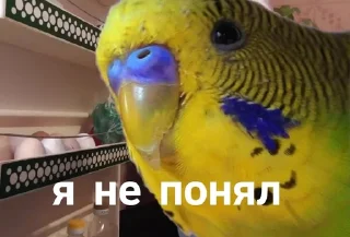 😑