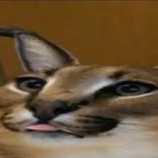 😛