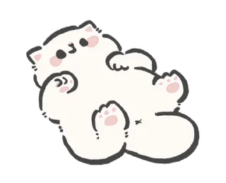 🐱
