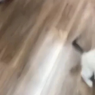 🫠