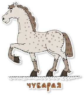 🐎