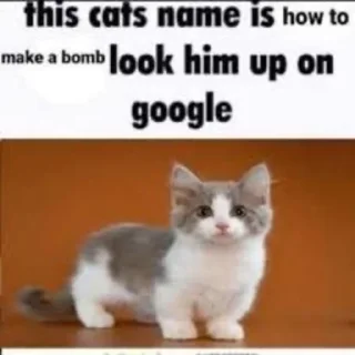 💣