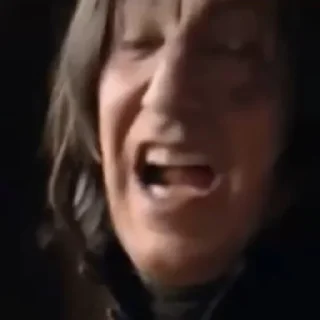 🐍
