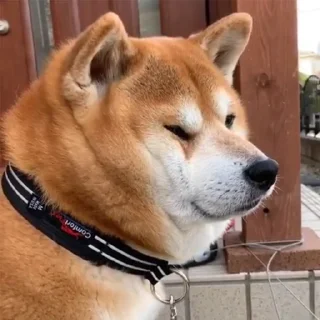 🤨