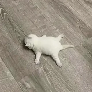 😮‍💨