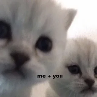 🤍