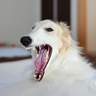 😂
