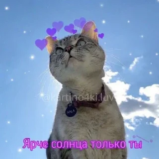 💜