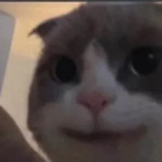 🙂