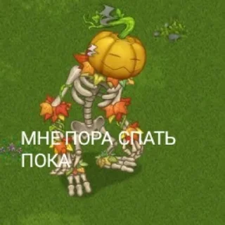 😴
