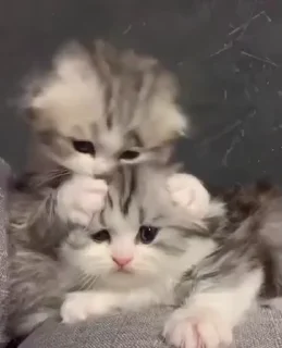 💋
