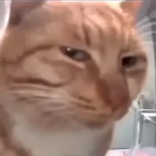 🤨
