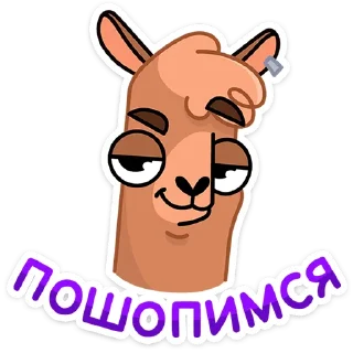 😏