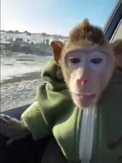 😧