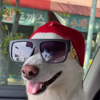 😎