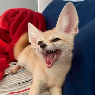 🤣