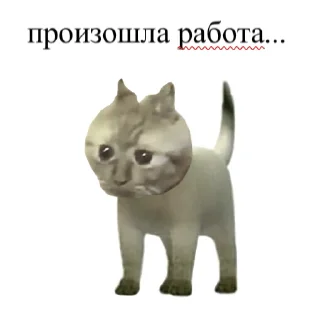 😳