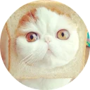 🐱