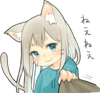 🐱