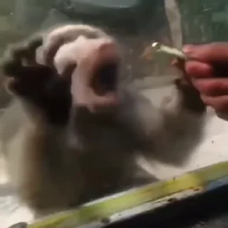 😲