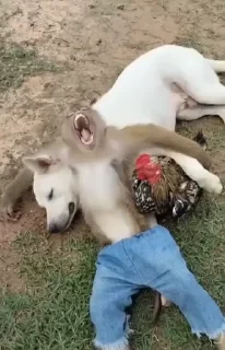 ☺️