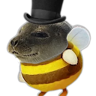 🎩