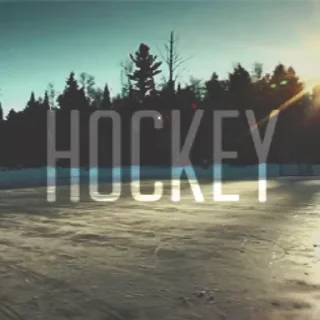 🏒