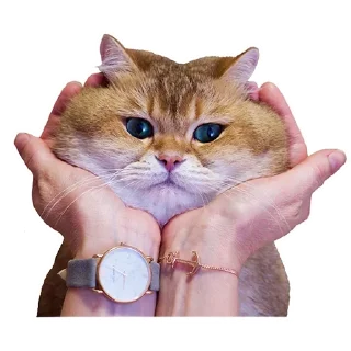😙