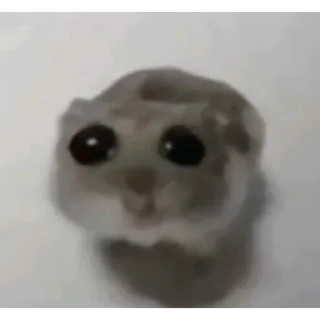🥺