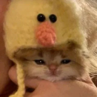 💘