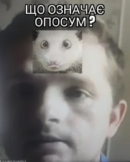 🐁