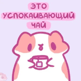 💗