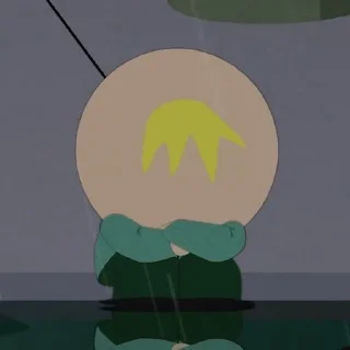🌟