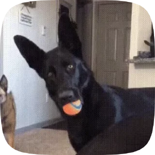 😳